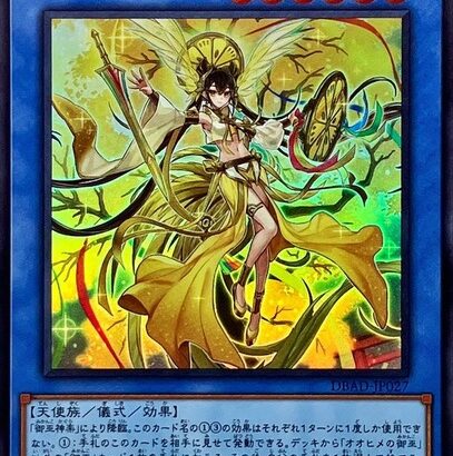 【遊戯王】儀式フェスは何を握ればいいの？