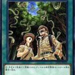 【遊戯王】爬虫類族には「スネーク・レイン」があるのに何が不満なんだ？