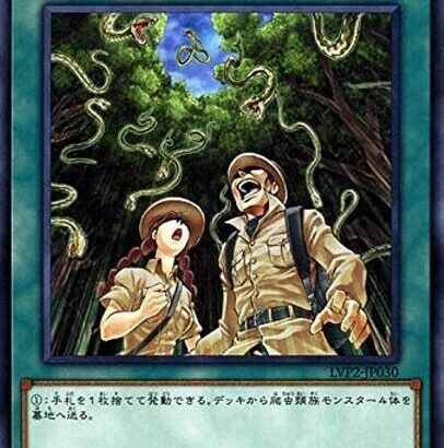 【遊戯王】爬虫類族には「スネーク・レイン」があるのに何が不満なんだ？