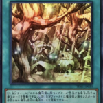 【遊戯王】「魔法族の里」禁止はマジで意味わからん