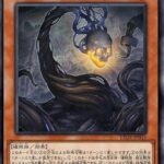 【遊戯王】「蕾禍」はいつか化けそうなポテンシャルは見える